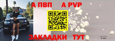 гашик Берёзовский